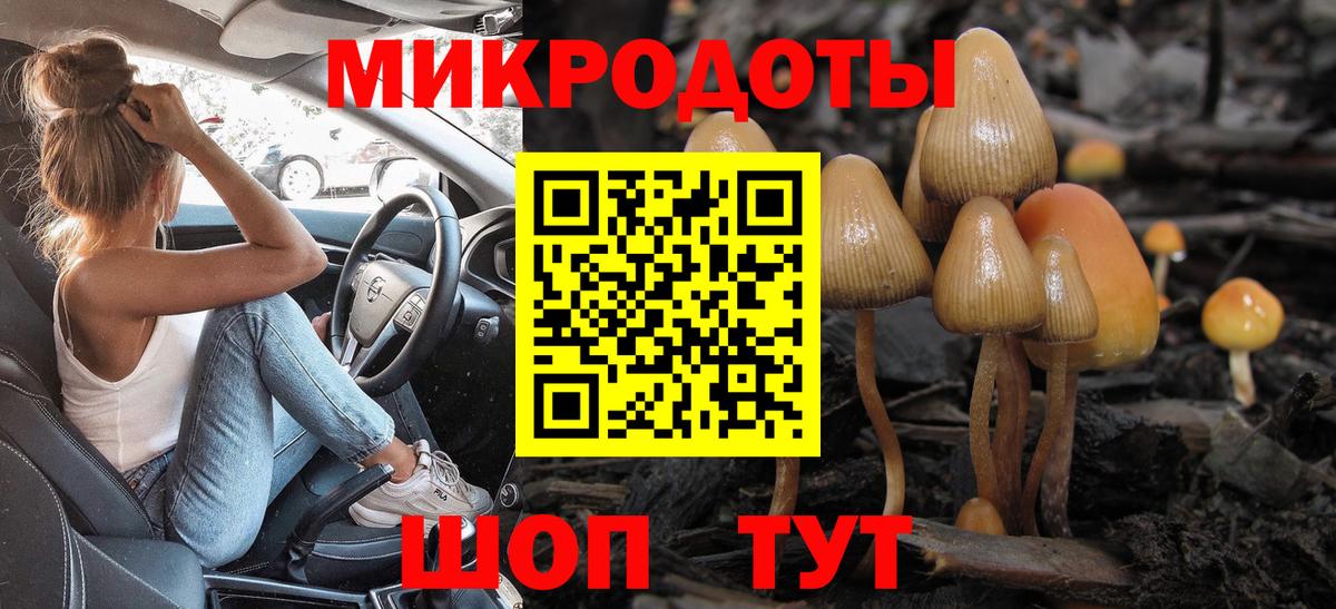 Сердобск  Псилоцибиновые грибы GOLDEN TEACHER  Галлюциногенные грибы мицелий  Вход с VPN 